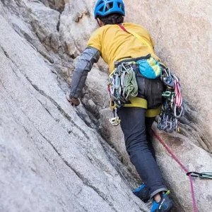 Escalada o Arborismo